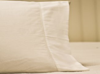 (image for) Set of 2 Flannel Pillowcases - Click Image to Close